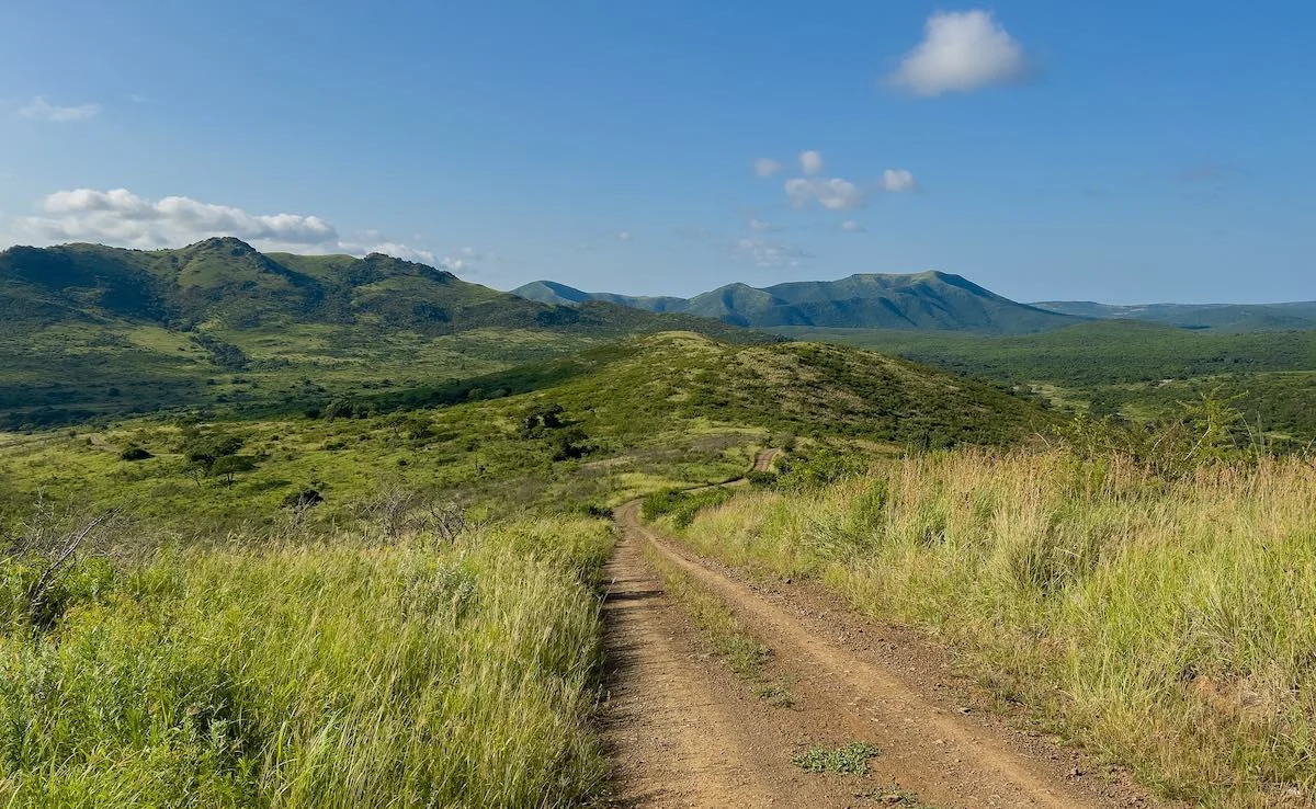 Weg im Hluhluwe iMfolozi Nationalpark.