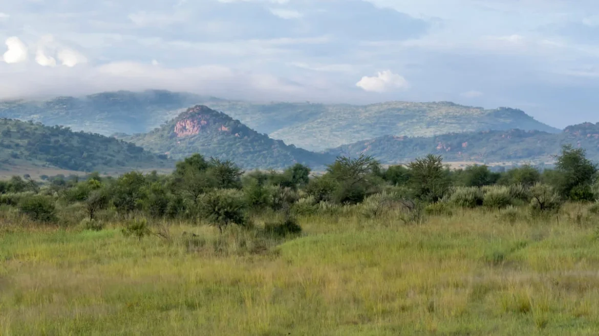 Berge im Pilanesberg Nationalpark.