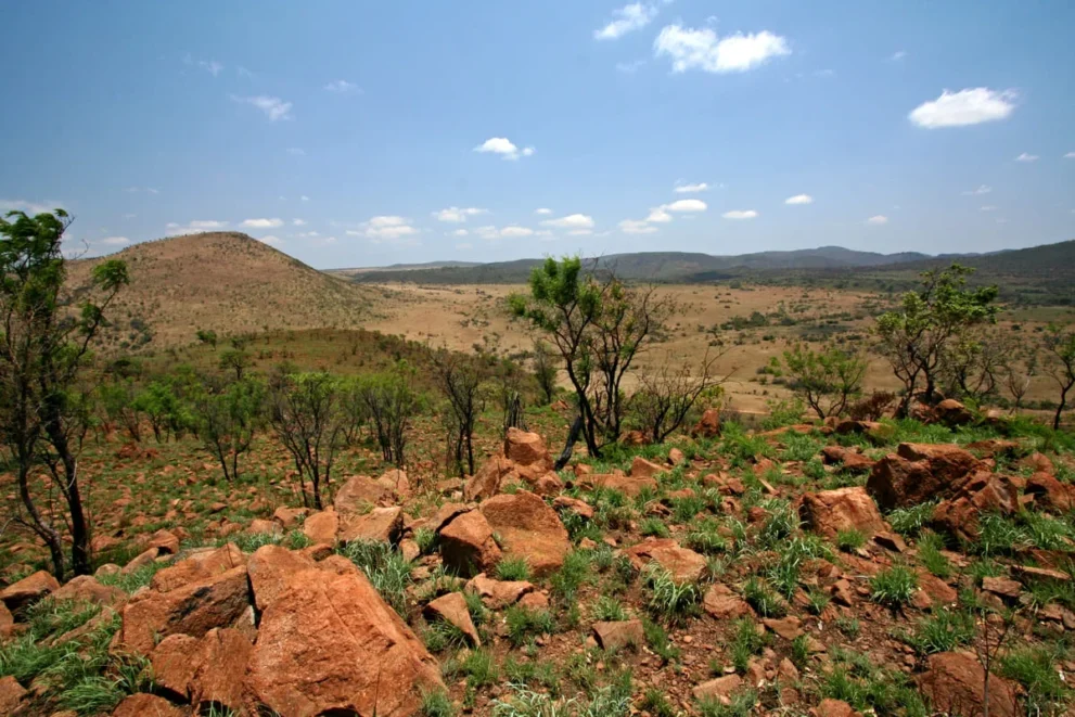 Felsige Landschaft im Pilanesberg Nationalpark.