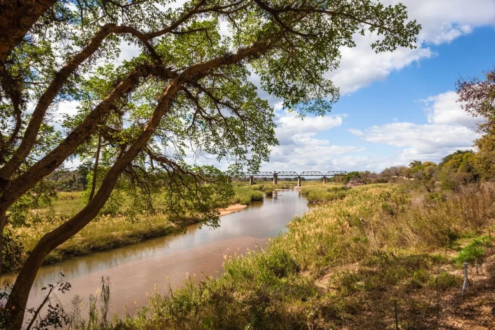 Brücke über Fluss im Sabi Sand Game Reserve.