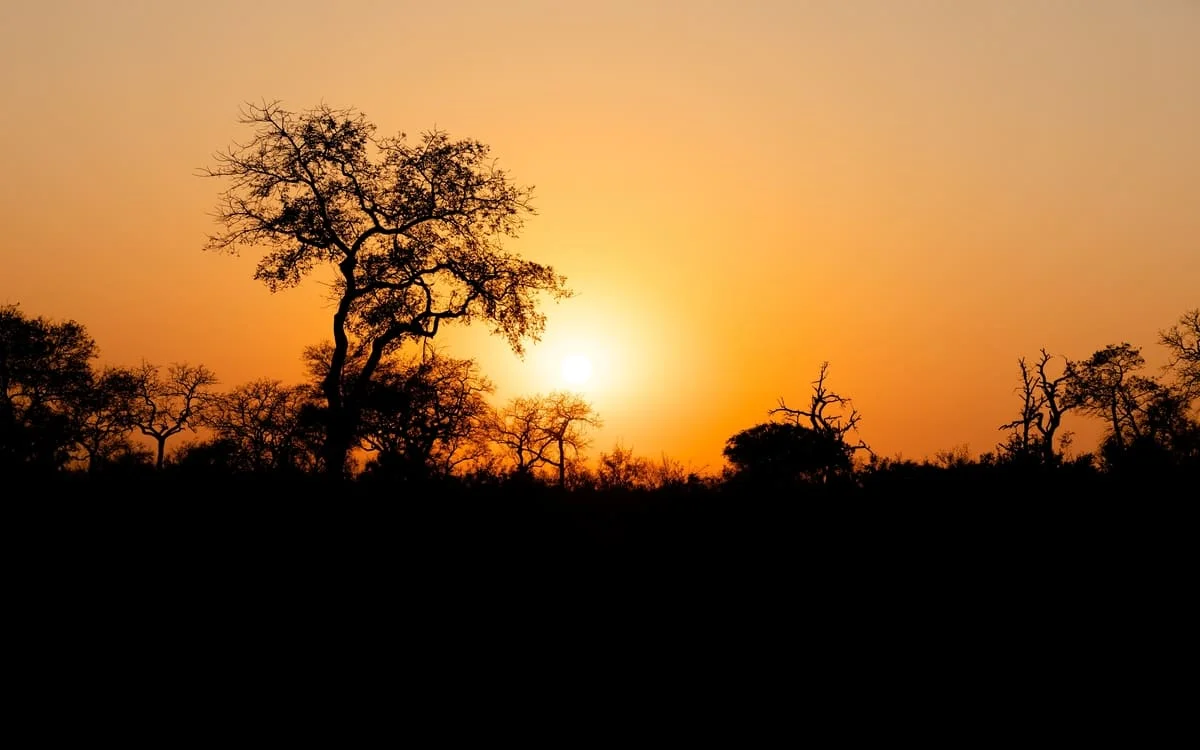 Sonnenuntergang im Sabi Sand Game Reserve.