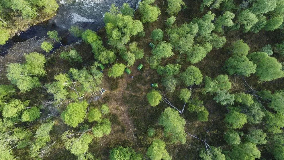 Schweden Survival Camp in Wald