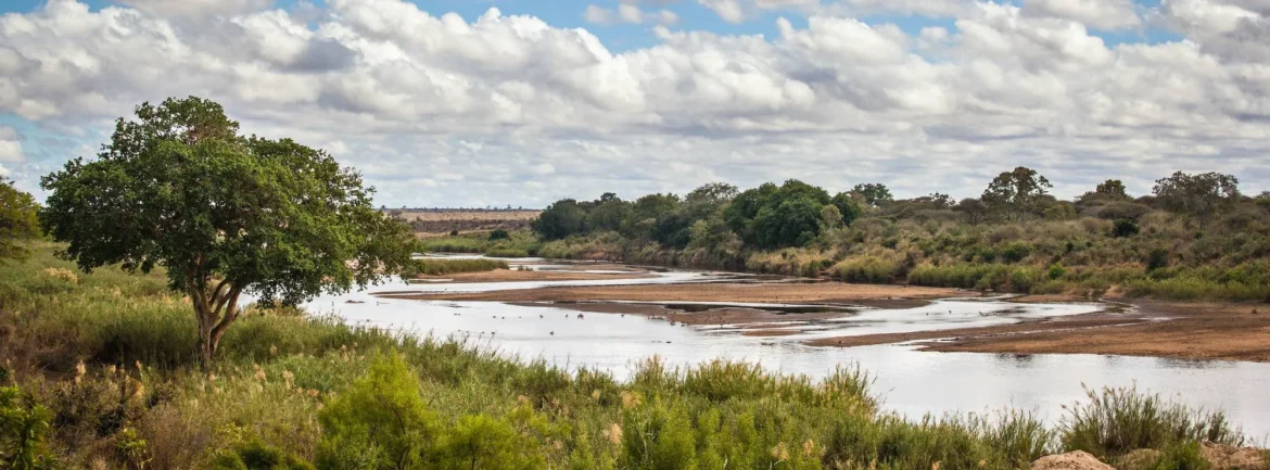 Fluss und Graslandschaft im Sabi Sand Game Reserve.