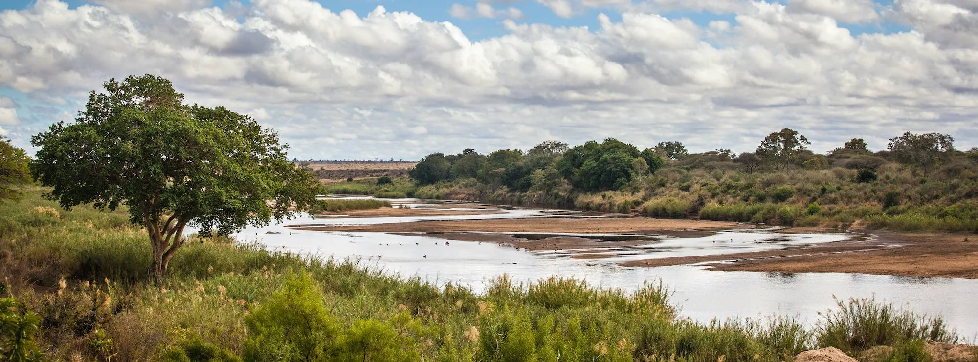 Fluss und Graslandschaft im Sabi Sand Game Reserve.