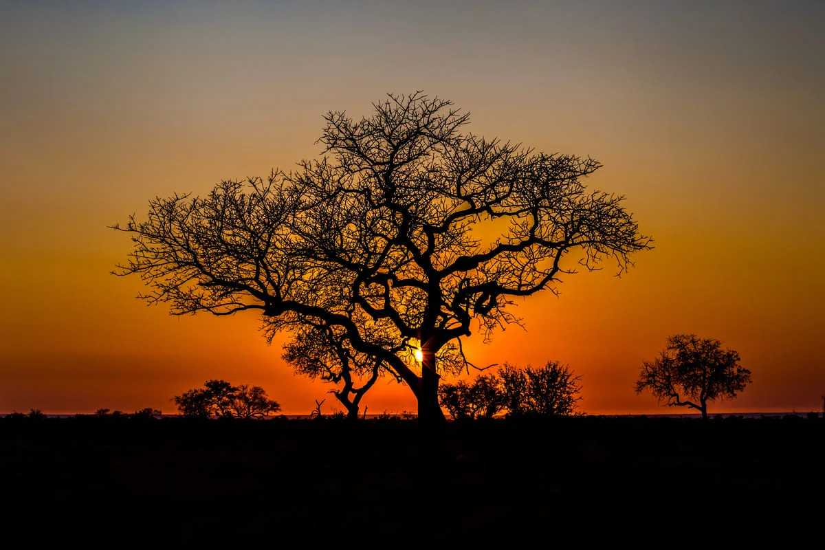 Sonnenuntergang im iSimangaliso Wetland Park.