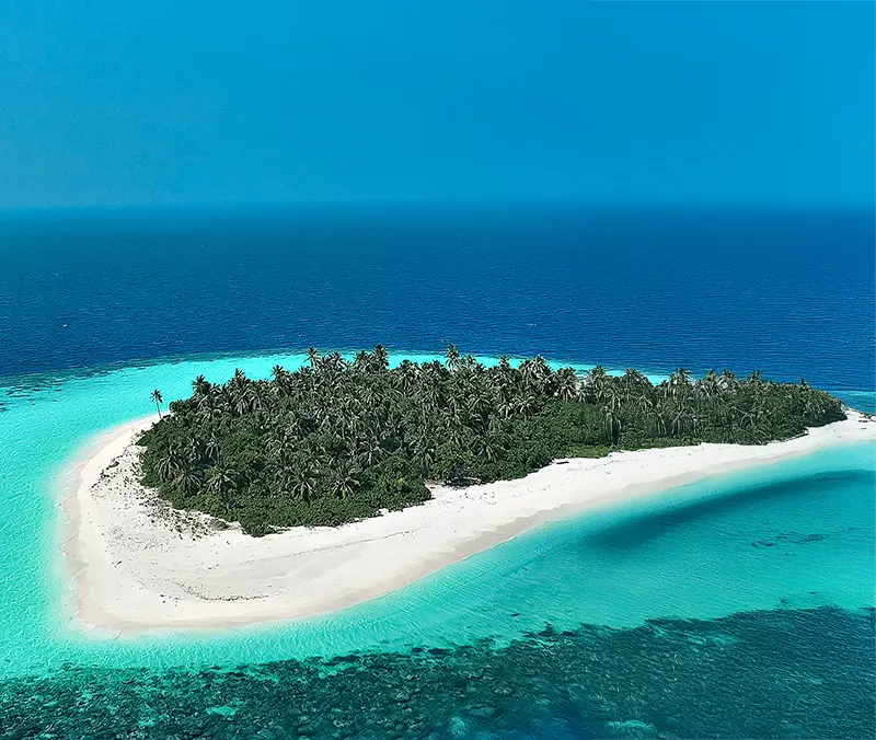Tropische Insel mit Palmen, weißem Sandstrand und klarem, türkisfarbenem Wasser im blauen Ozean.