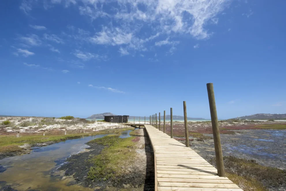 Holzsteg führt durch Dünenlandschaft Richtung Meer, blauer Himmel, klare Sicht.