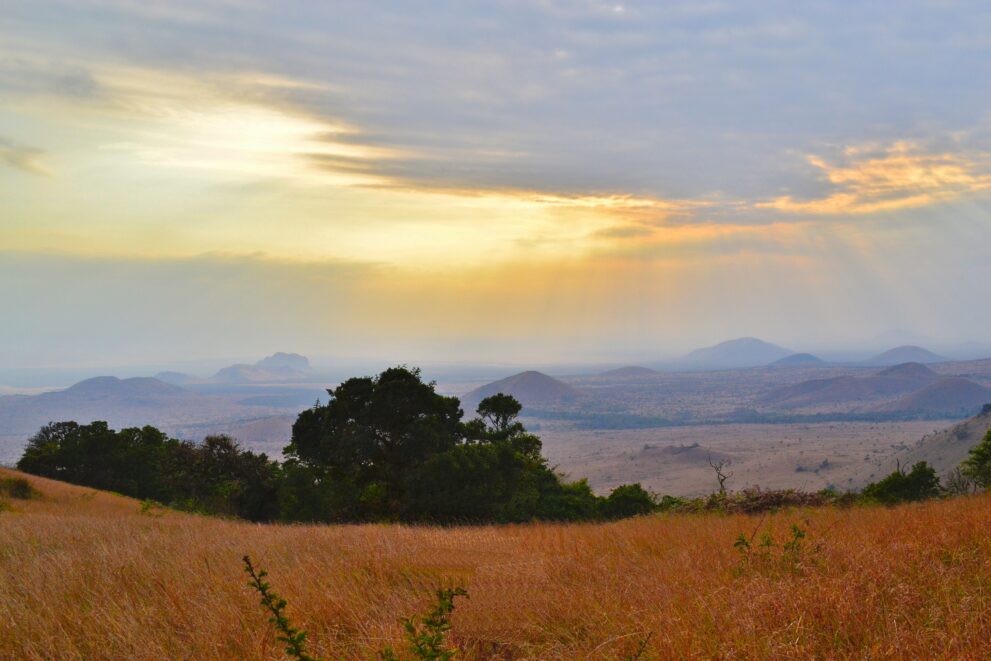 Blick von den grasbewachsenen Chyulu Hills über Vulkankegel und Waldinseln im Abendlicht