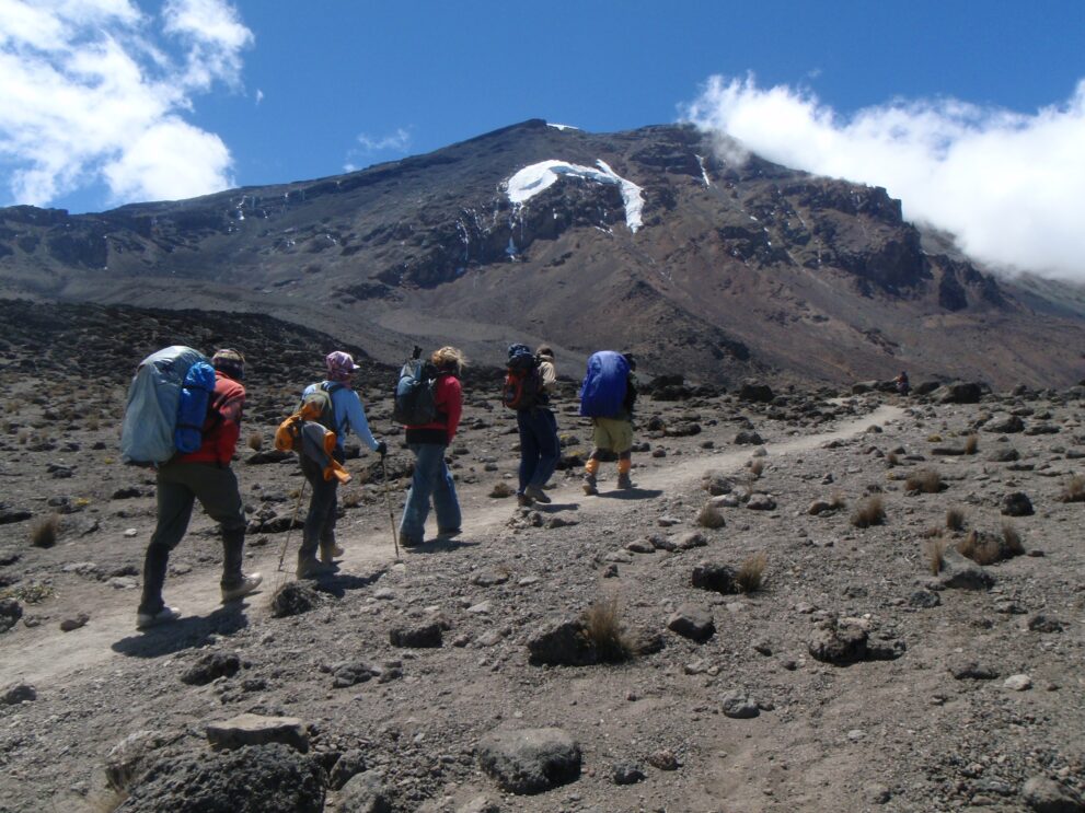 Bergsteiger von hinten auf dem Weg zum Lava Tower, über ihnen der Gipfel des Kilimandscharo
