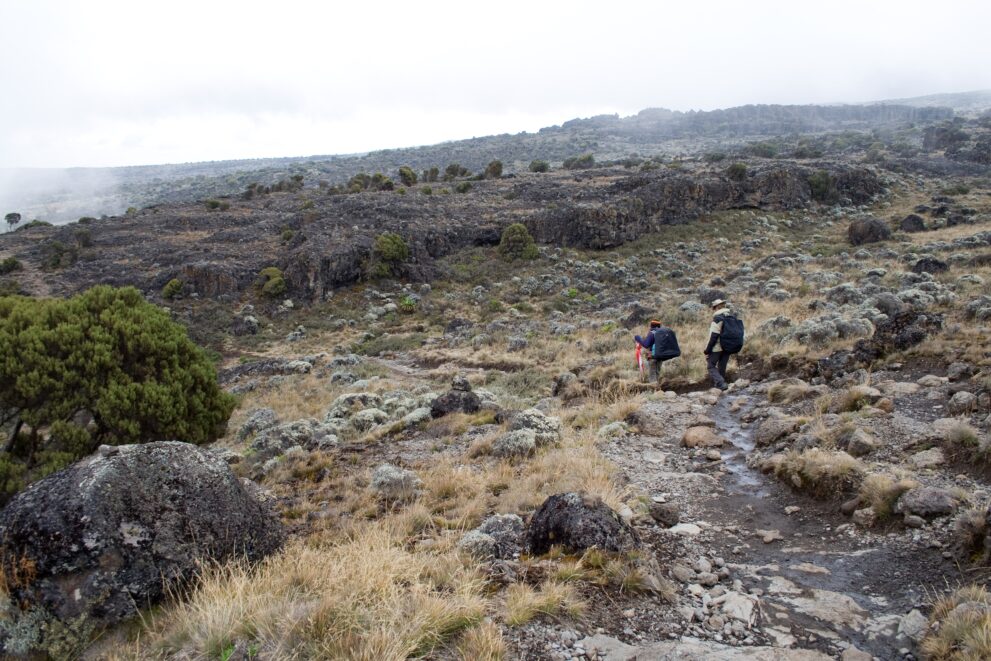 Wanderweg über das Shira-Plateau am Kilimandscharo mit Heide, Lavafelsen und Wanderern in der Ferne