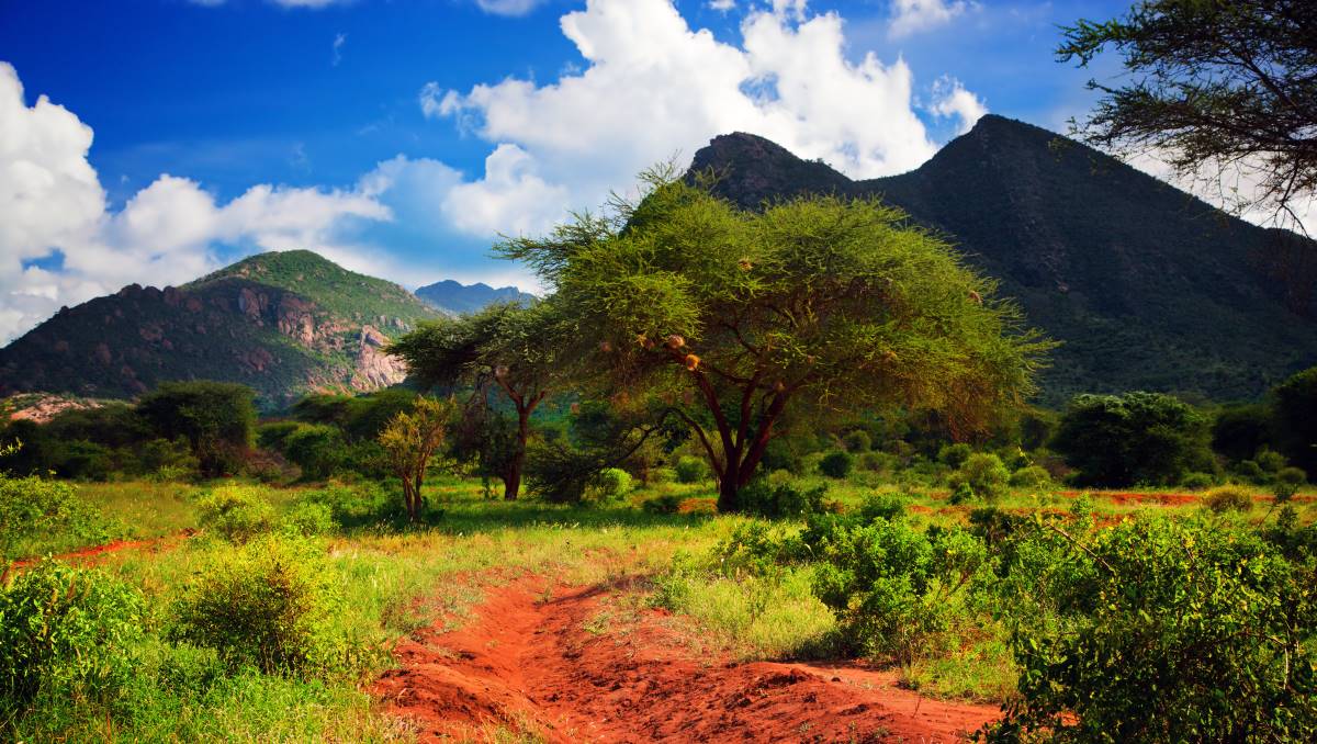 Landschaft mit Bergen und Wald im Tsavo West
