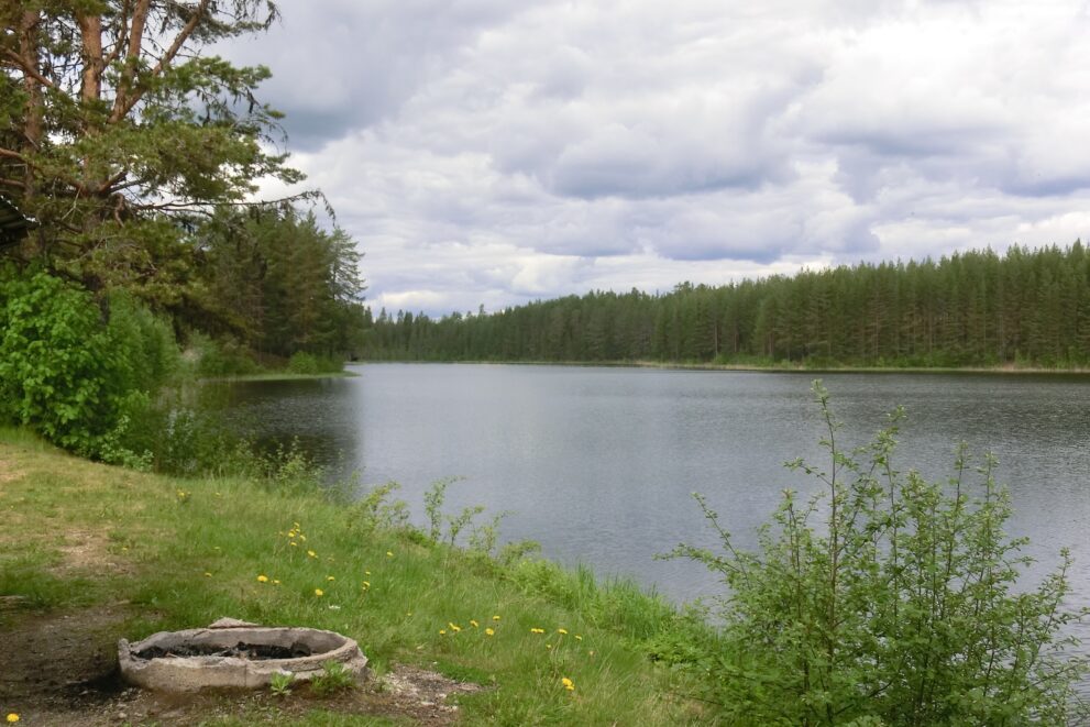 Feuerstelle am Ufer des Stortjärnen im Naturreservat Långvattnet bei Junsele in Ångermanland mit Nadelwald
