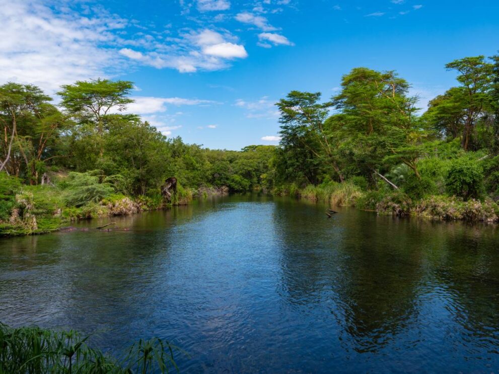 Mzima-Wasserquelle im Tsavo West