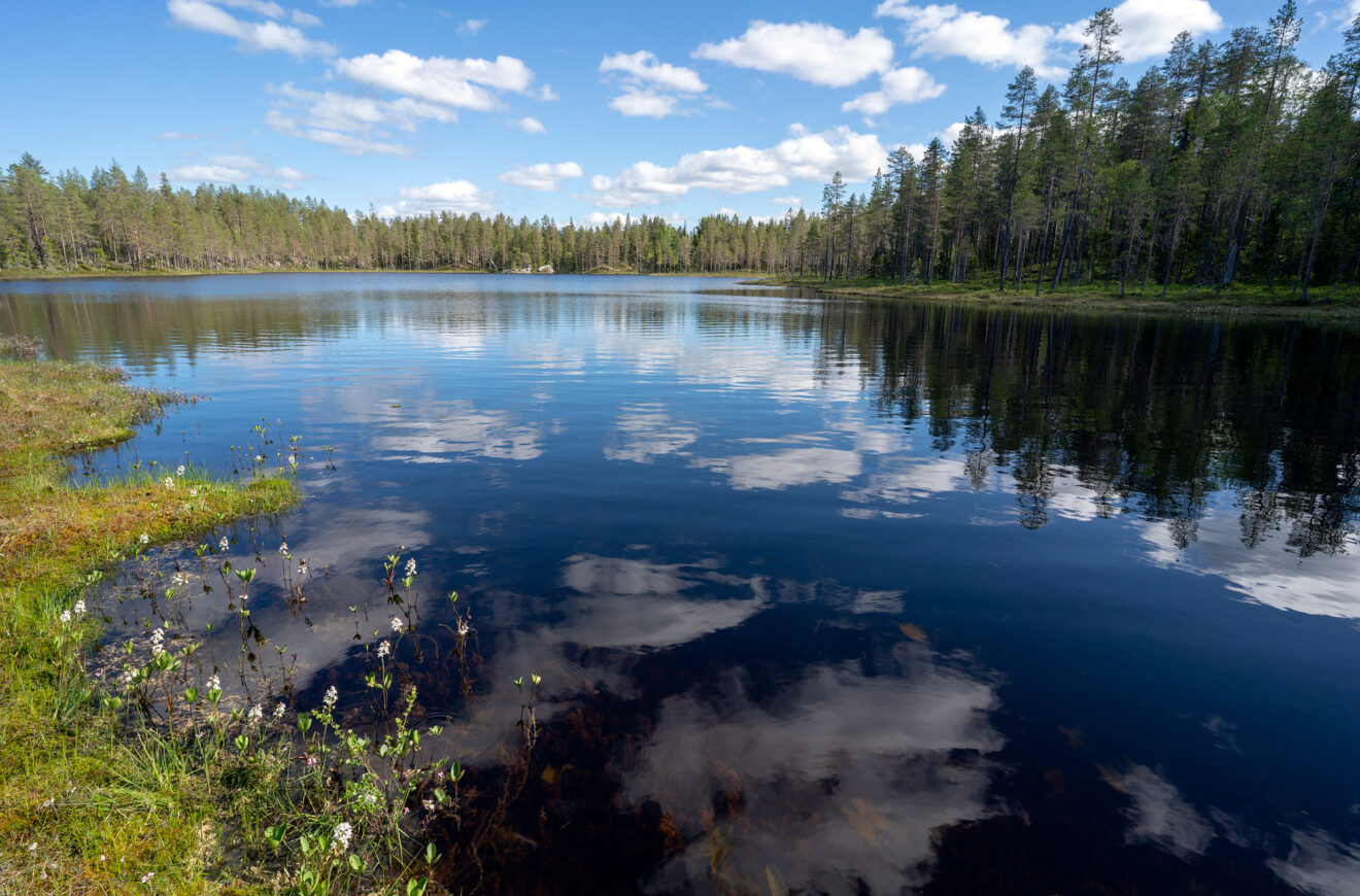 Stiller Waldsee Stor-Abborrtjärnen im Naturreservat Vändåtberget bei Örnsköldsvik in Västernorrland mit gespiegelten Wolken