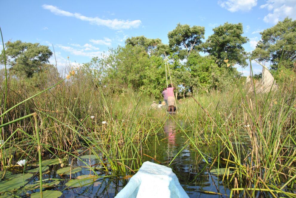 Ein Mokoro gleitet durch einen schmalen Kanal zwischen Schilf und Seerosen im südlichen Okavango-Delta in Botswana