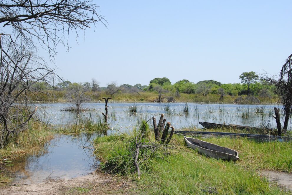 Drei hölzerne Mokoro-Einbäume liegen im Gras am Ufer eines Kanals mit Seerosen, Okavango-Delta
