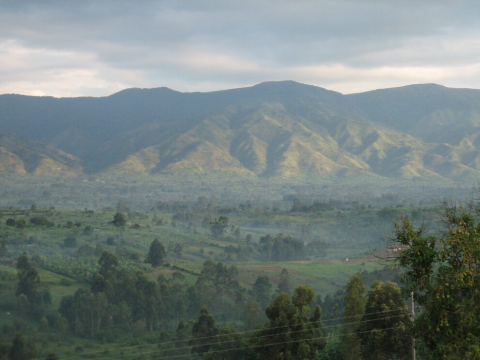 Die Ruwenzori-Berge im Morgenlicht, gesehen von den Hügeln südlich von Fort Portal in Uganda