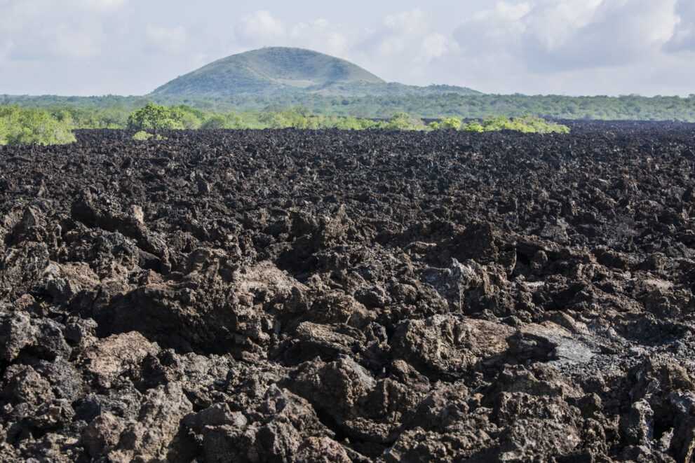 Schwarzes Lavafeld des Shetani-Lavastroms mit einem Vulkankegel im Hintergrund, Tsavo-West-Nationalpark