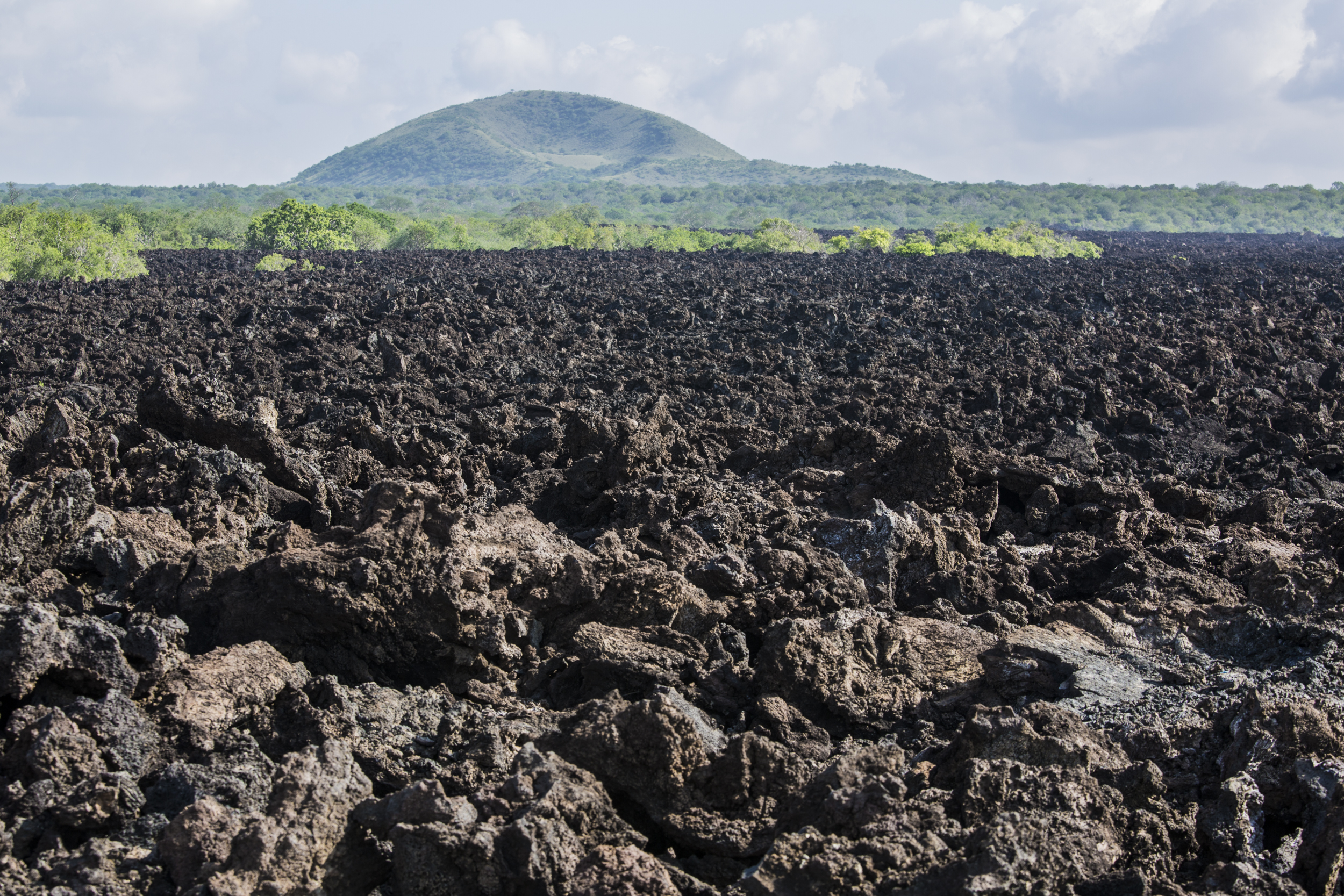 Schwarzes Lavafeld des Shetani-Lavastroms mit einem Vulkankegel im Hintergrund, Tsavo-West-Nationalpark