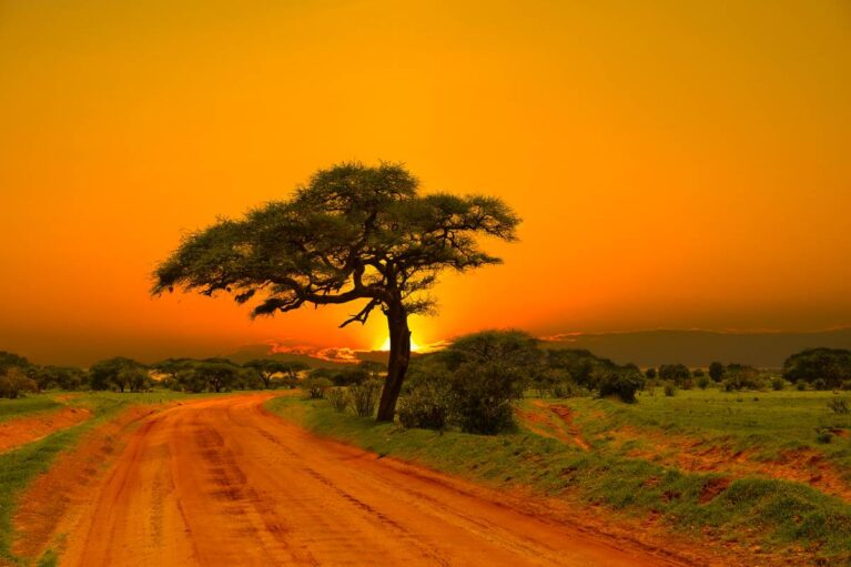 Sonnenuntergang im Tsavo-West-Nationalpark