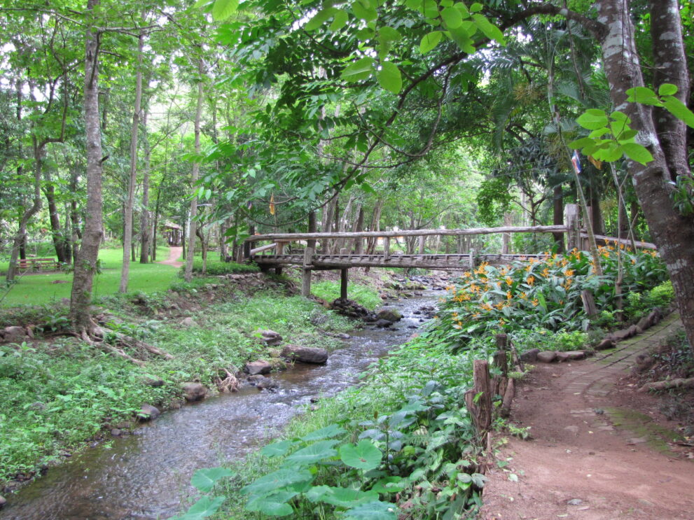Bach mit Holzbrücke und Waldweg zwischen Bäumen im Waldkloster Wat Pa Tam Wua bei Mae Hong Son