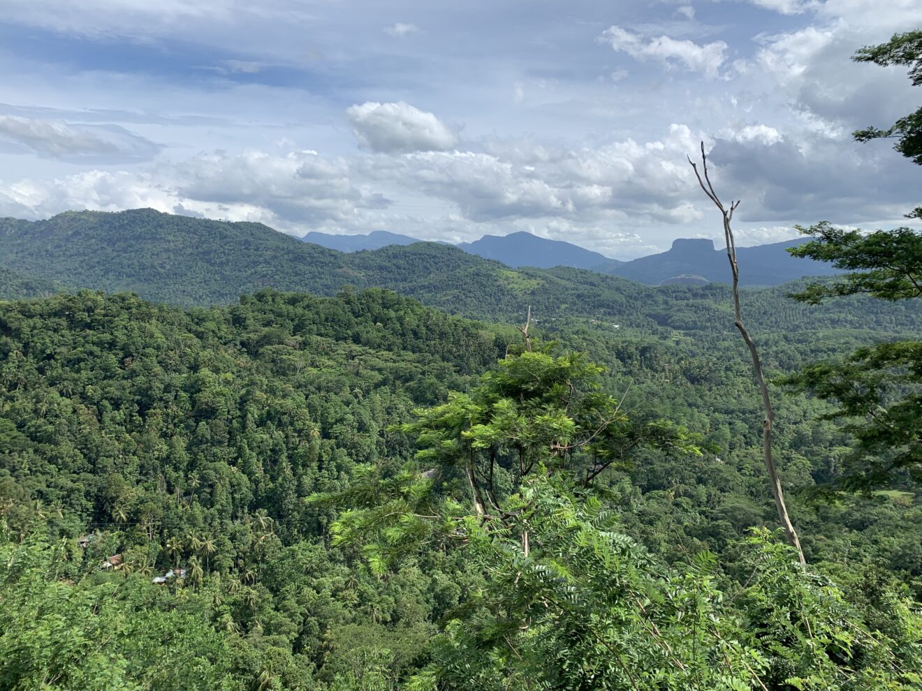 Bewaldete Hügel bei Kadugannawa nahe Kandy in Sri Lanka, am Horizont der Tafelberg Bible Rock