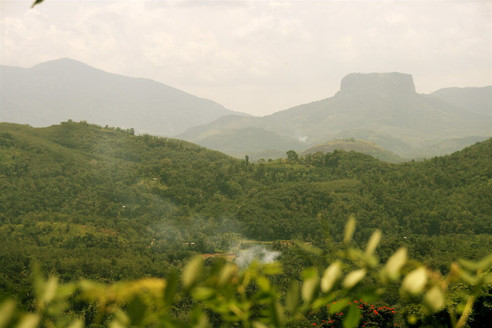 Blick vom Kadugannawa-Pass über grüne Hügel auf den Tafelberg Bible Rock im Hochland von Sri Lanka
