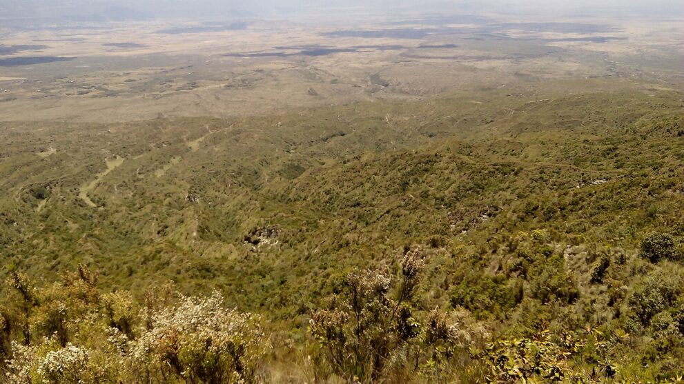 Grüner Buschhang des Mount Longonot fällt zum Rift Valley ab, vorne blühende Sträucher, hinten die weite Ebene