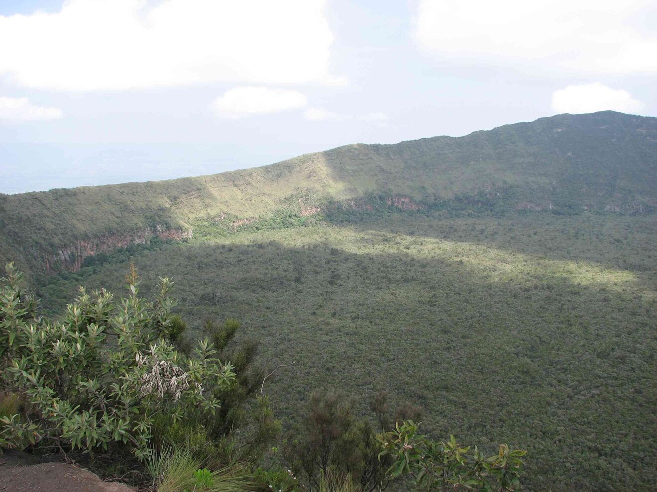 Vom Kraterrand des Mount Longonot fällt der Blick auf einen geschlossenen grünen Wald am Kraterboden, vorne Büsche am Rand
