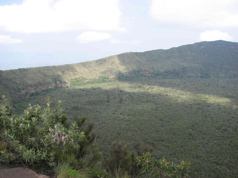 Vom Kraterrand des Mount Longonot fällt der Blick auf einen geschlossenen grünen Wald am Kraterboden, vorne Büsche am Rand