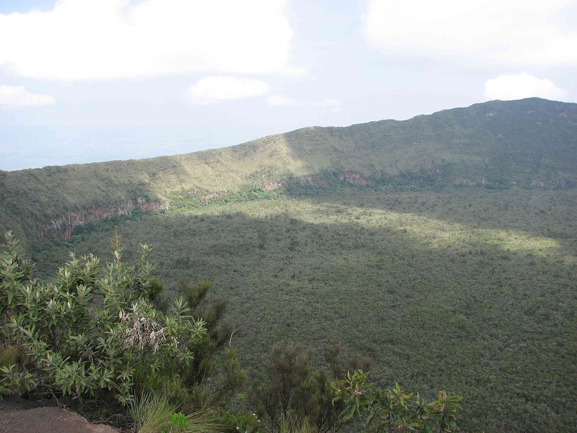 Vom Kraterrand des Mount Longonot fällt der Blick auf einen geschlossenen grünen Wald am Kraterboden, vorne Büsche am Rand