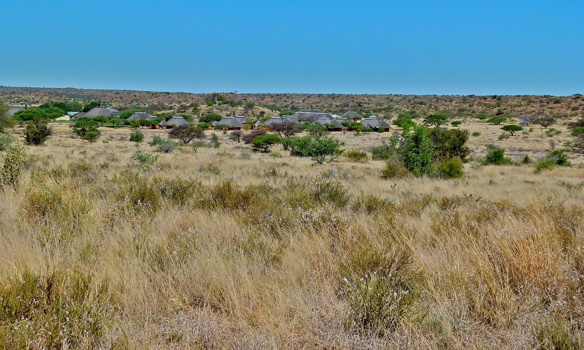 Reetgedeckte Häuser zwischen grünen Bäumen hinter einer weiten Fläche aus trockenem Gras, dahinter flache Hügel unter blauem Himmel
