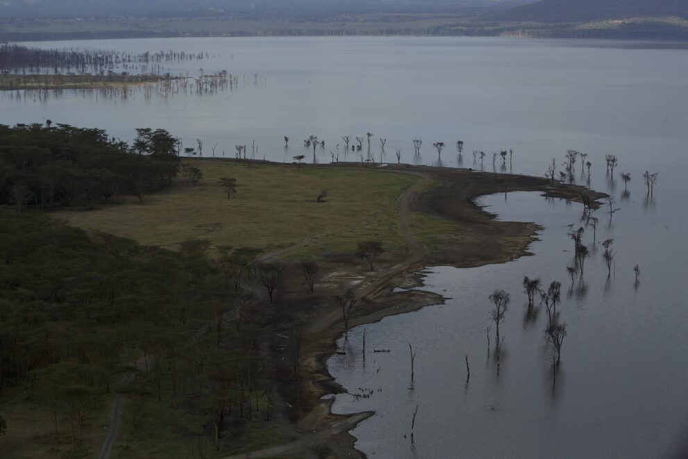 Abgestorbene Bäume stehen im flachen Wasser vor einer Uferwiese, rechts eine Bucht, hinten der See und das Gegenufer.