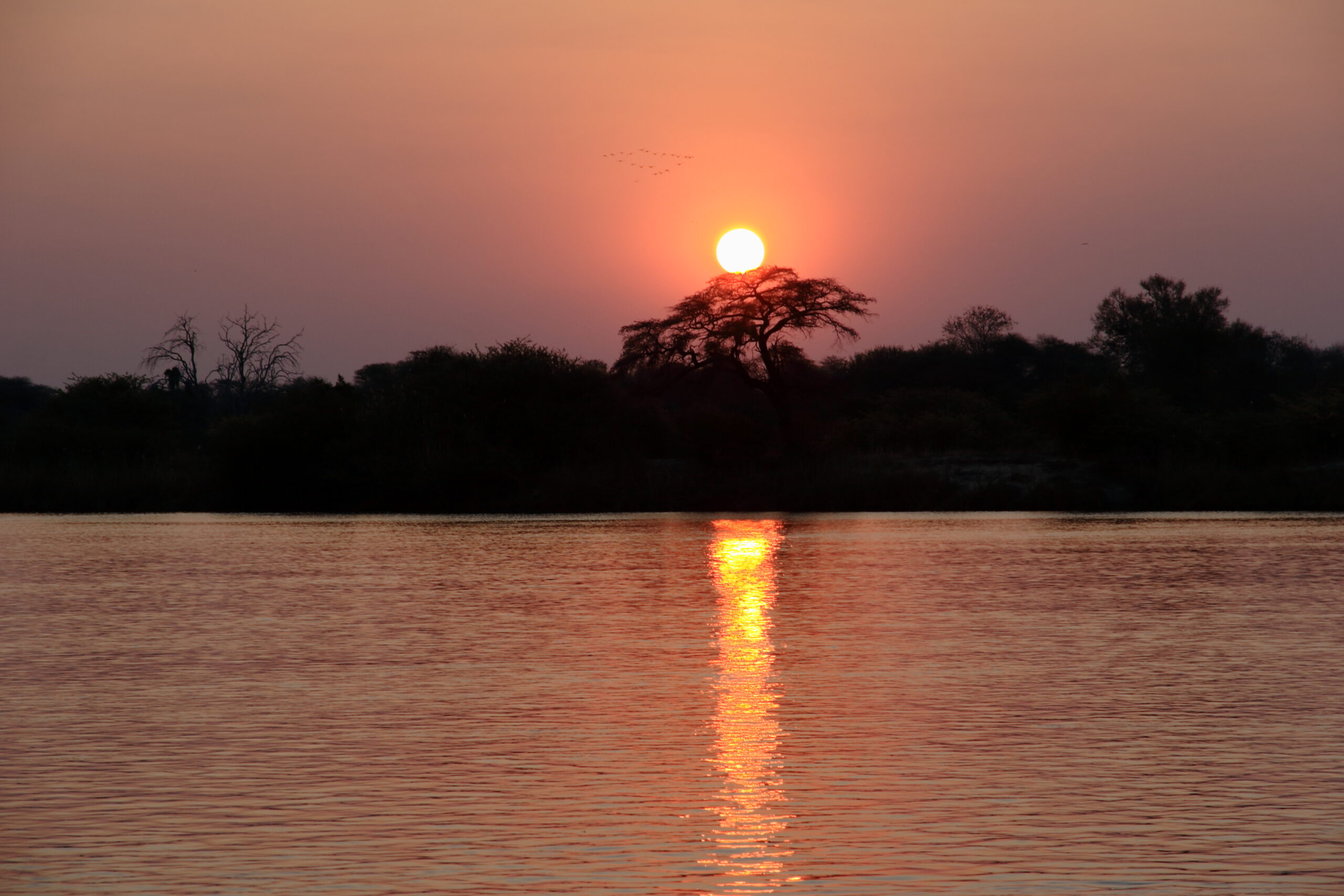 Die Sonne geht über dem Okavango unter, die Bäume am Ufer stehen als Silhouette, Bwabwata-Nationalpark
