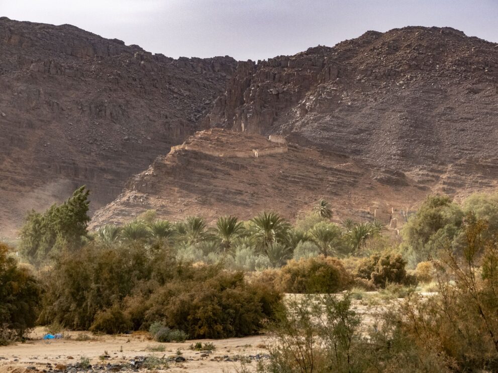 Palmen der Oase Djanet am Fuß der Felswand beim Ksar Adjahil, auf dem Grat die Festung Ghaoun