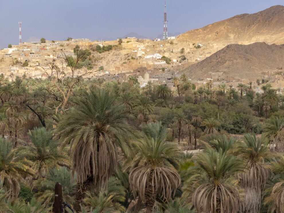 Blick über den Palmenhain der Oase Djanet auf den alten Ksar El Mihan am Hang
