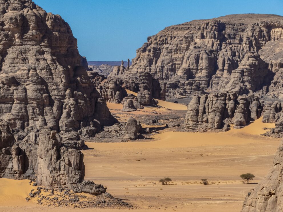 Schlucht zwischen hohen Sandsteinwänden bei El Berdj mit Sandboden und Akazien im Roten Tadrart