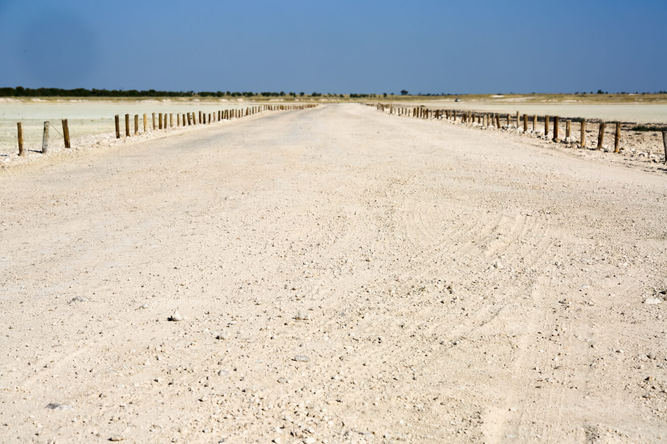 Eine weiße Schotterpiste mit Holzpfosten am Rand führt am Etosha Lookout auf die Salzpfanne hinaus