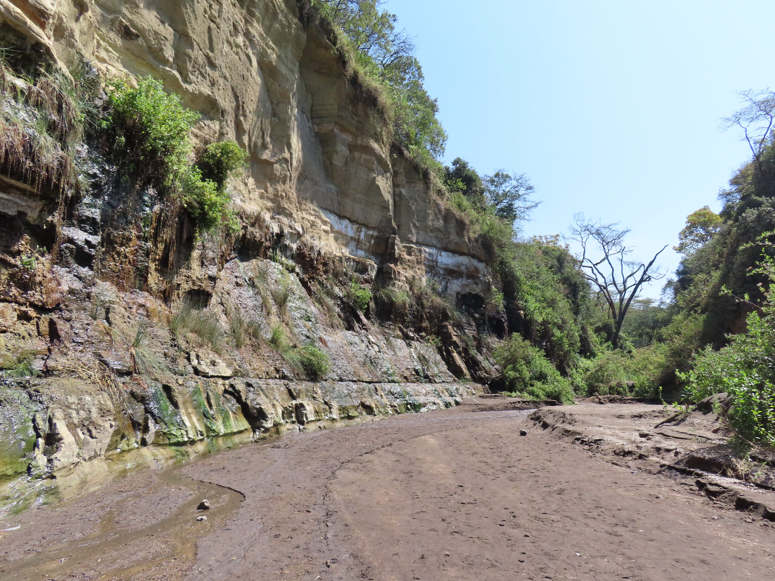 Trockener, sandiger Grund einer Schlucht zwischen hohen, hellen Felswänden mit Büschen, Hell's-Gate-Nationalpark