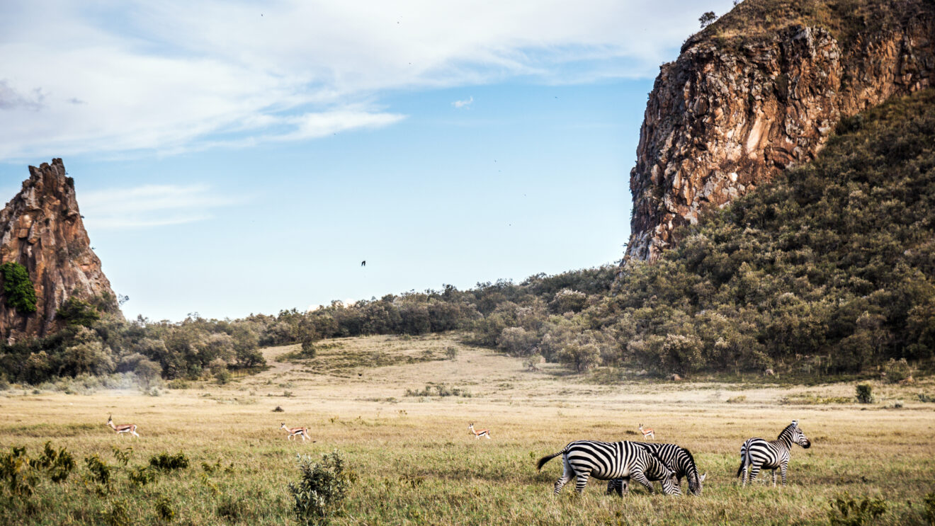 Drei Zebras und mehrere Gazellen grasen in einer Grasebene, dahinter ein Felsturm und eine hohe Felswand, Hell's-Gate-Nationalpark
