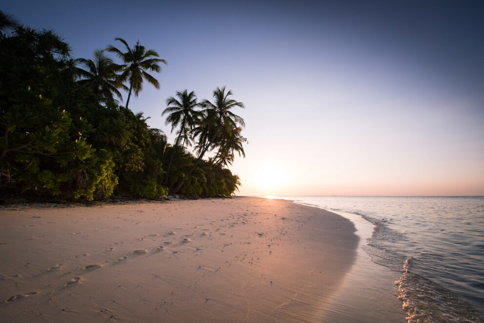 Abendlicht am Sandstrand von Hadahaa, Palmen und Buschwald am Ufer, Huvadhu-Atoll in den südlichen Malediven