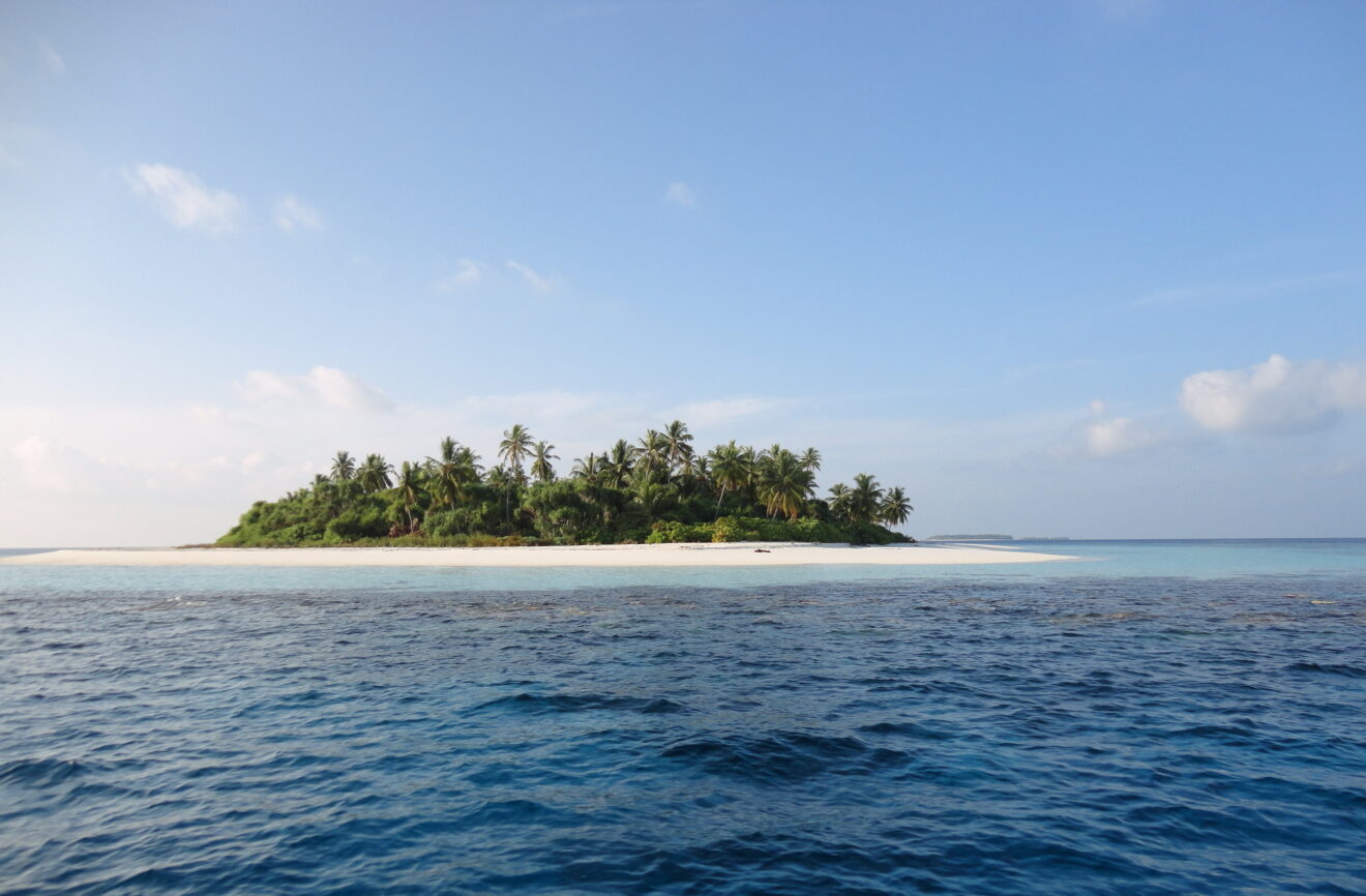 Unbewohnte Palmeninsel mit weißem Sandsaum im Huvadhu-Atoll, gesehen auf der Bootsfahrt zum Flughafen Kaadedhdhoo, Malediven