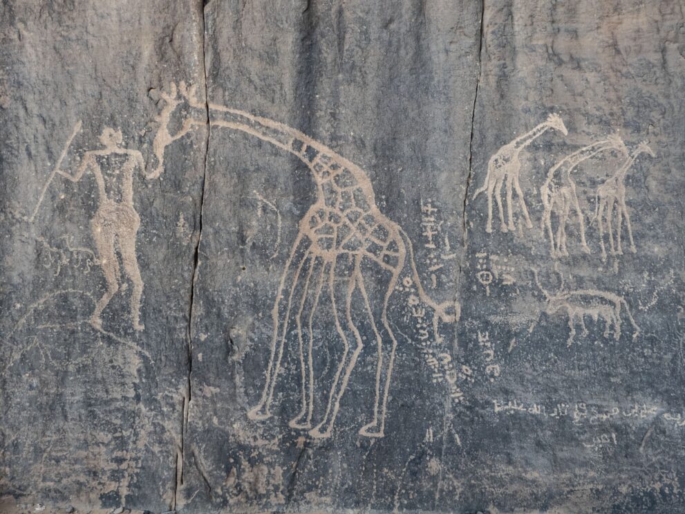Prähistorische Felsgravur mit Giraffen und menschlicher Figur im Oued In Djaren im Roten Tadrart