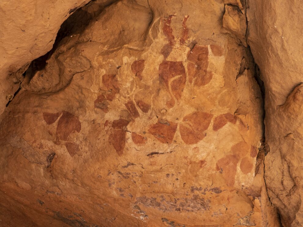 Prähistorische Felsmalerei mit zweifarbigen Rindern unter einem Felsdach im Oued In Djaren, Tadrart