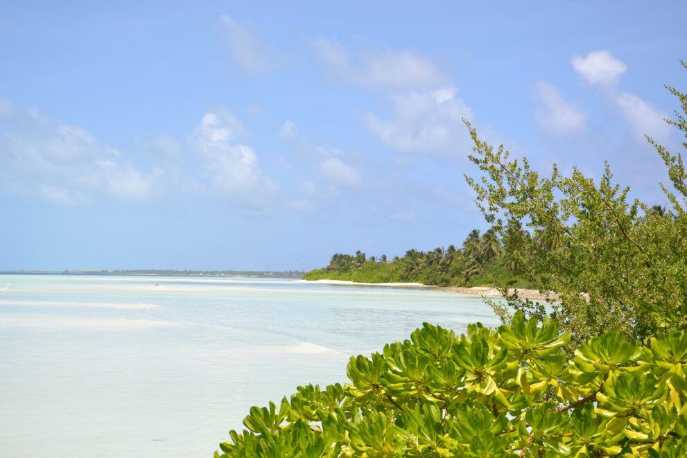 Flache Lagune mit hellem Sand und Strandvegetation auf Kaadedhdhoo im Huvadhu-Atoll der südlichen Malediven