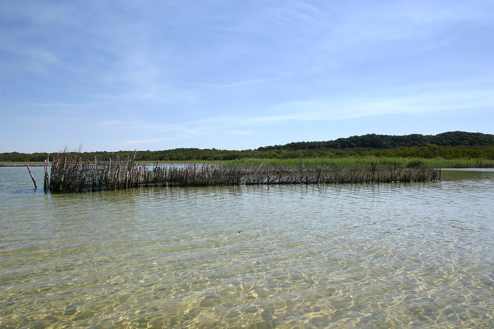 Ein Zaun aus dicht gesteckten Holzstäben steht im klaren, flachen Wasser eines Sees, dahinter Schilf und bewaldete Hügel