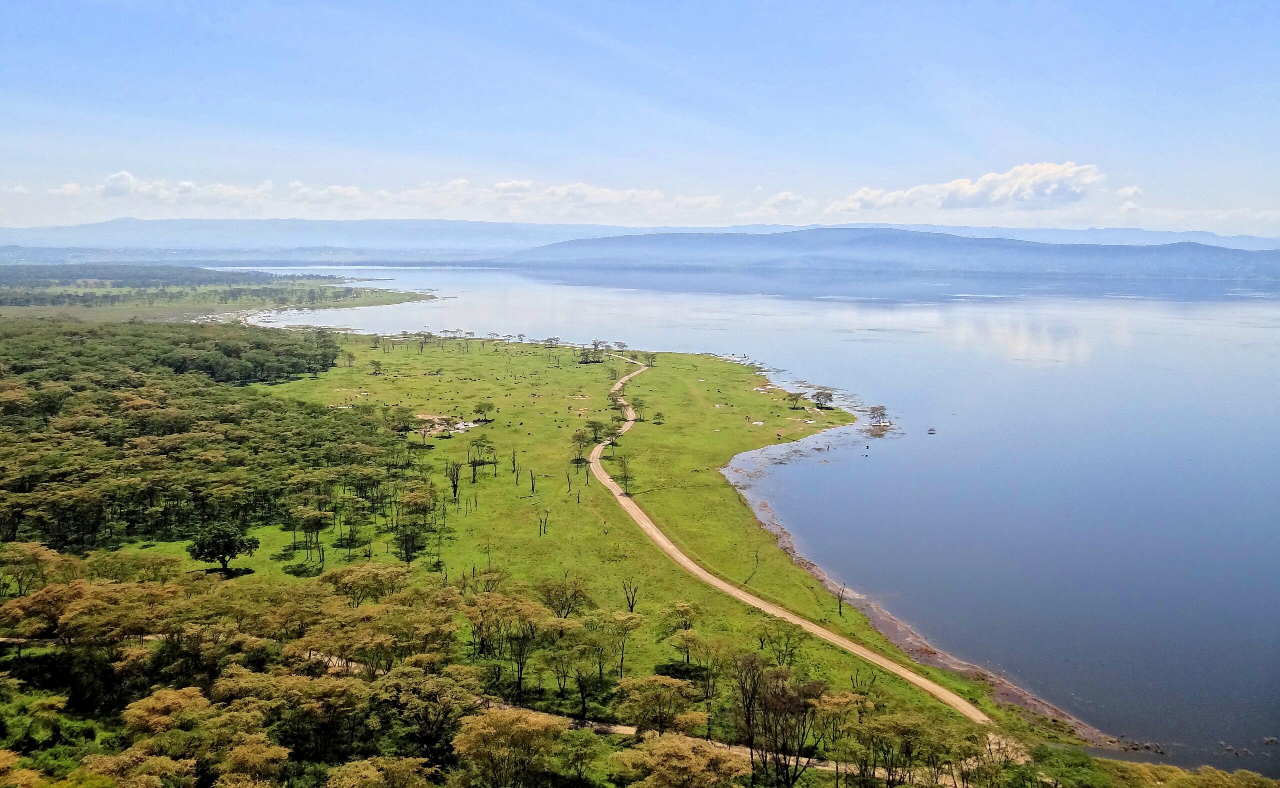 Blick vom Aussichtspunkt Baboon Cliff über Uferwald, Grasland und den Lake Nakuru in Kenia
