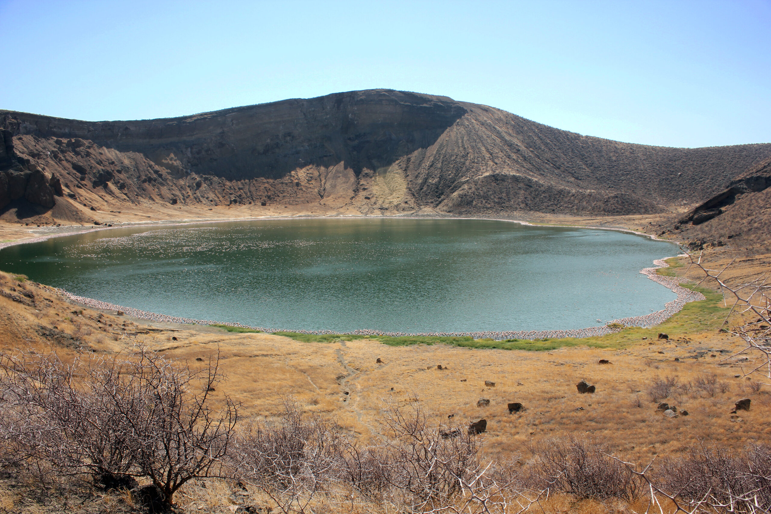 Grüner Kratersee in einem steilen, kahlen Vulkankrater, am Ufer ein heller Saum, vorn trockenes Gras und dorniges Gebüsch, Central Island im Lake Turkana