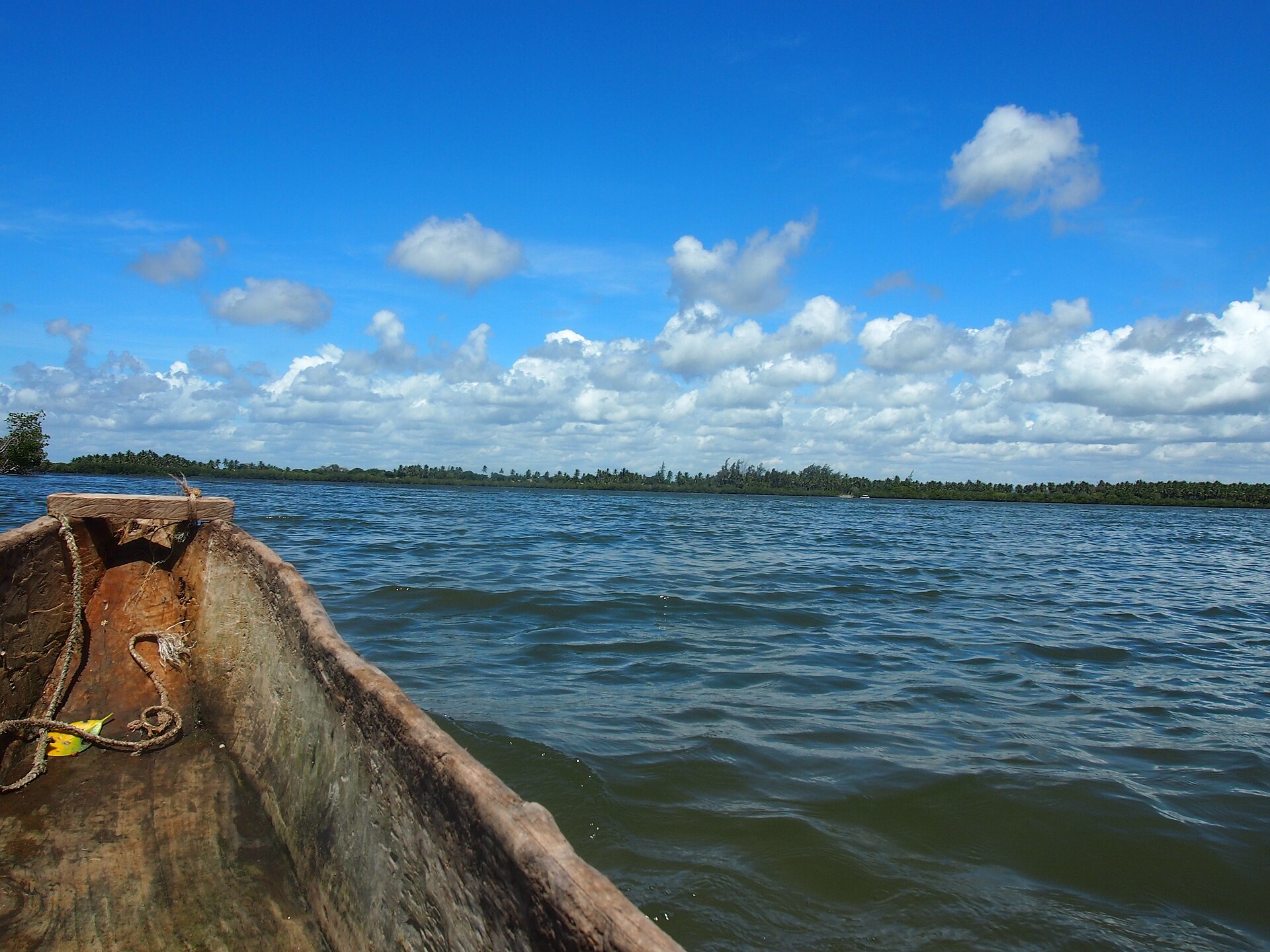 Blick über den Bug eines ausgehöhlten Holzboots auf die weite, bewegte Wasserfläche, am Horizont ein Saum aus Mangroven und Palmen.