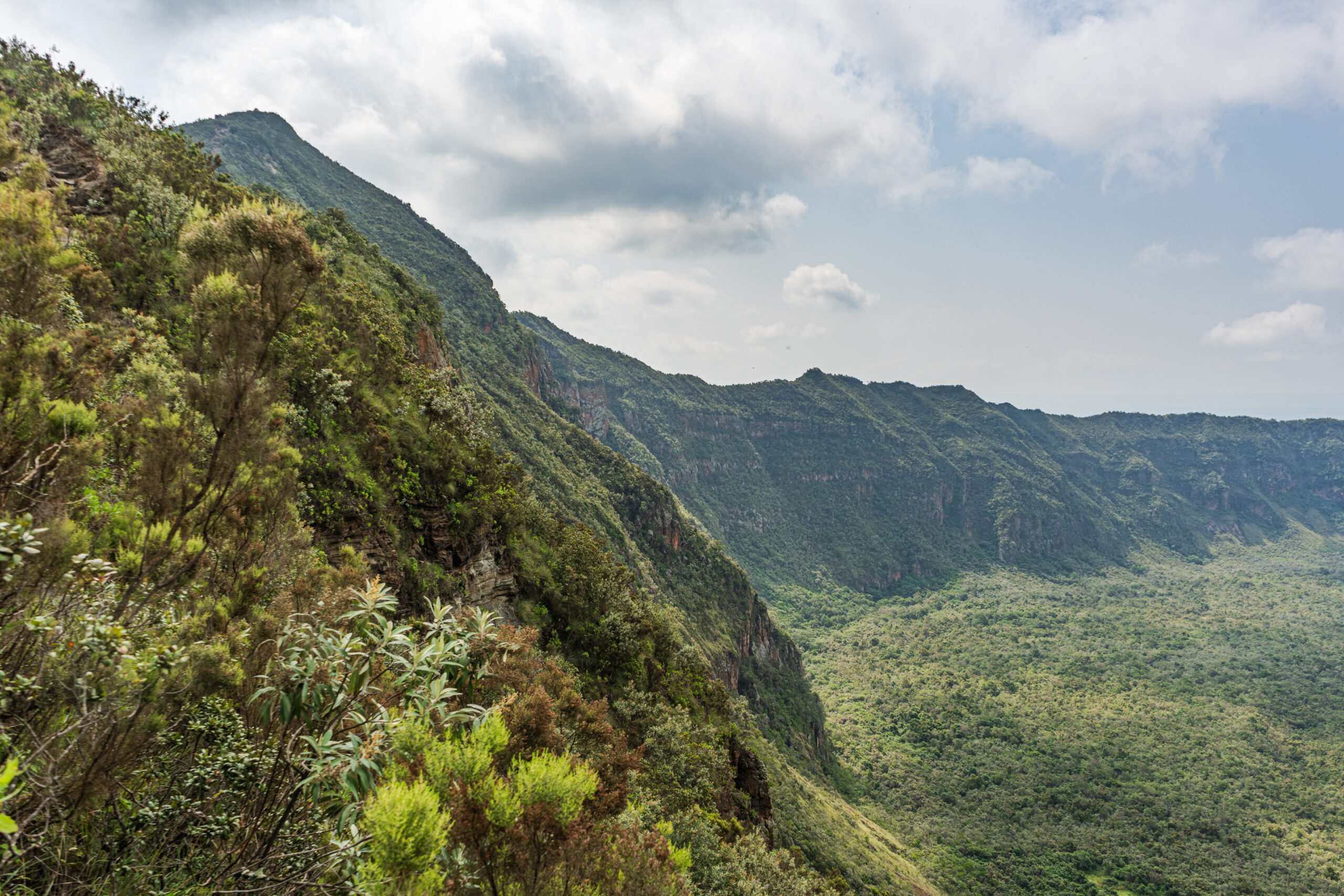 Steile, teils bewachsene Kraterwand des Mount Longonot, unten Wald auf dem Kraterboden